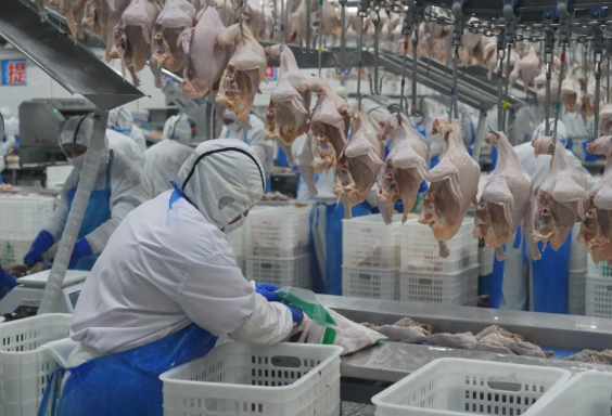 a024de90dee83198510fecd238f625fc